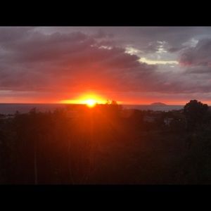 Meet your Posher, Jessie